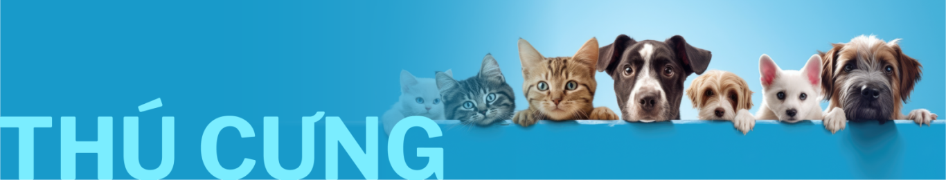 SAN PHAM CHO THU CUNG