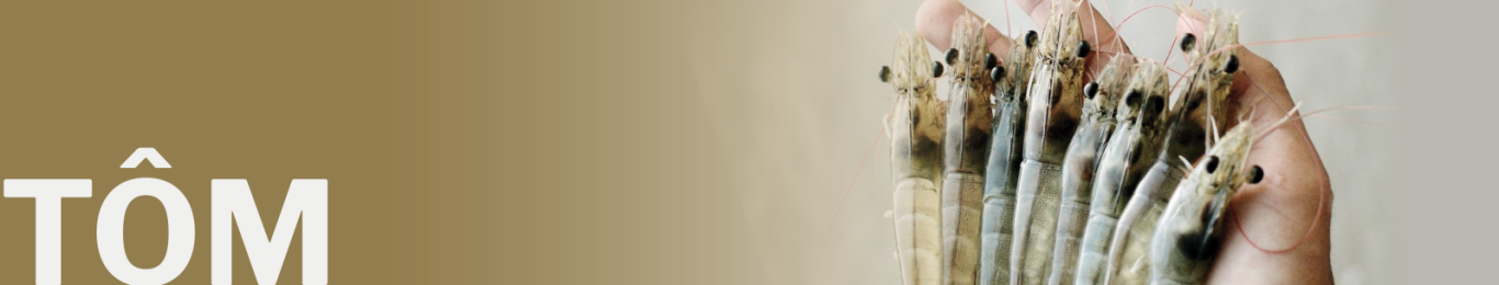 TÔM