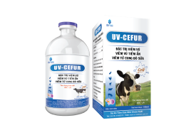 UV-CEFUR for cow