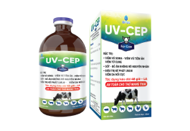 UV-CEP for Cow