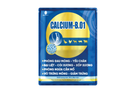 CALCIUM-B.01