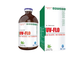 UV-FLO THẢO DƯỢC