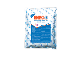 ENRO-B