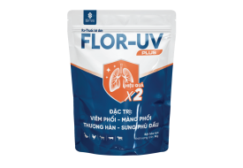 FLOR-UV plus