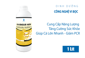 UV-ENSUR new