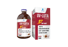 UV-LUTA pro