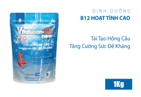 VITALUCAN-B12 new