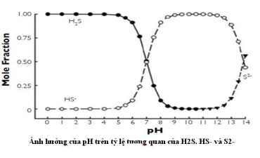 Cách quản lý Hydrogen Sulfide ao nuôi