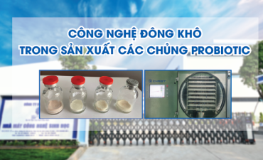 Công nghệ đông khô trong sản xuất các chủng PROBIOTIC