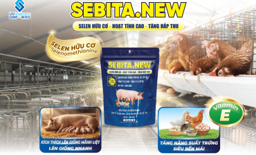 TẠI SAO NÊN  SỬ DỤNG SELEN HỮU CƠ CHO HEO?