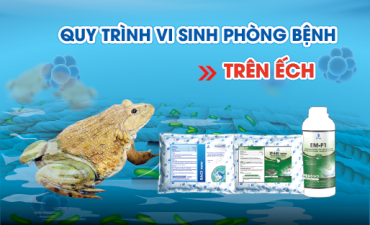 Quy trình vi sinh phòng bệnh trên Ếch