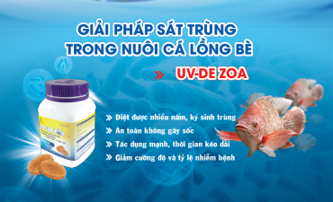 Giải pháp sát trùng trong nuôi cá lồng bè