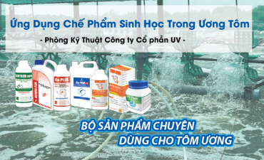 Ứng Dụng Chế Phẩm Sinh Học Trong Ương Tôm