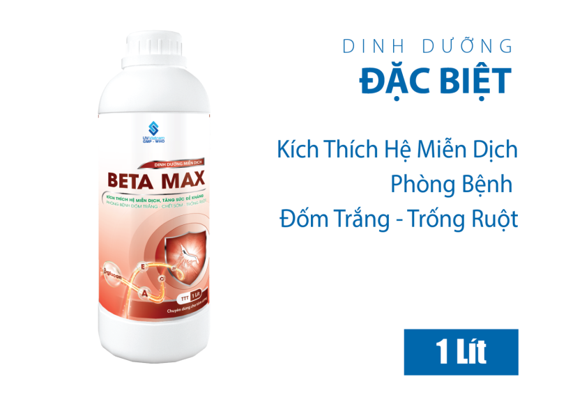 BETA MAX
