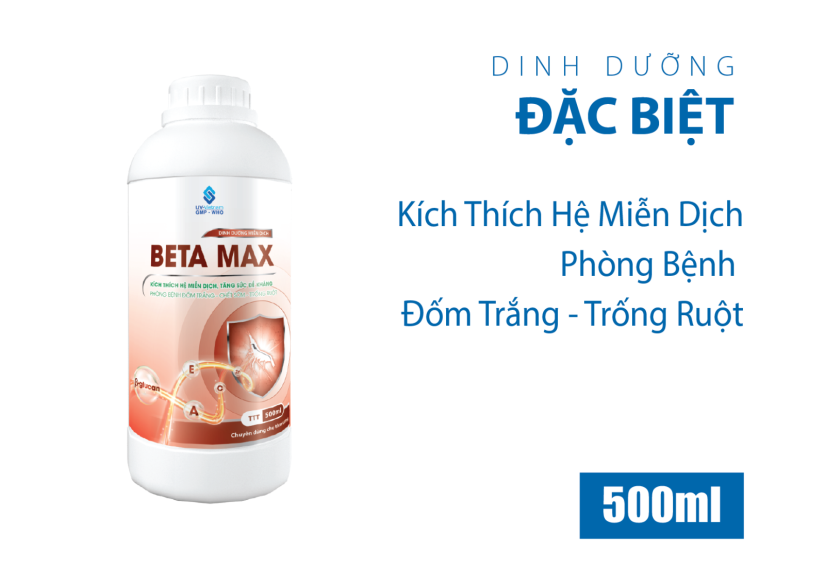 BETA MAX