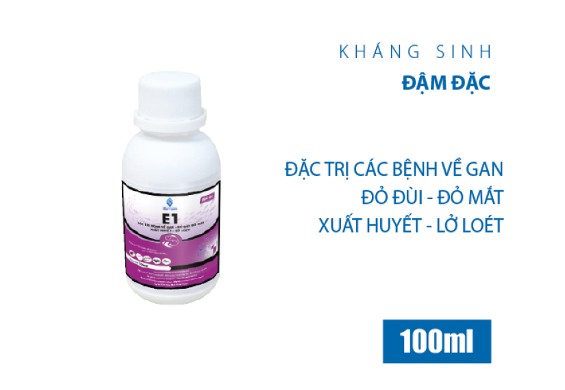 E1 đậm đặc
