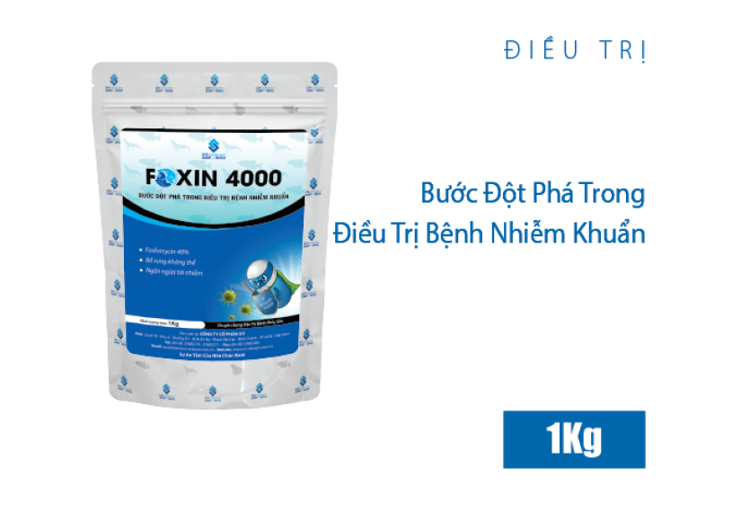 FOXIN 4000