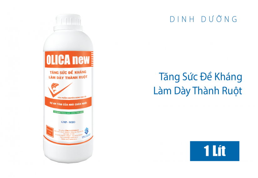 OLICA new