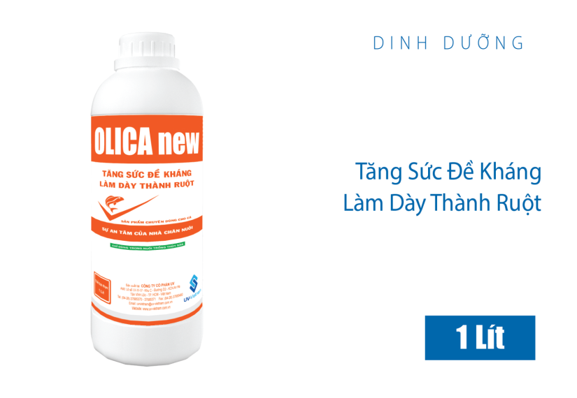 OLICA new