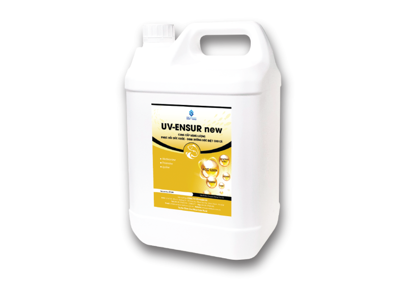 UV-ENSUR new