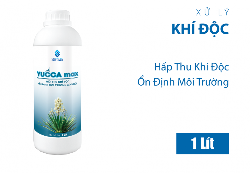 YUCCA MAX