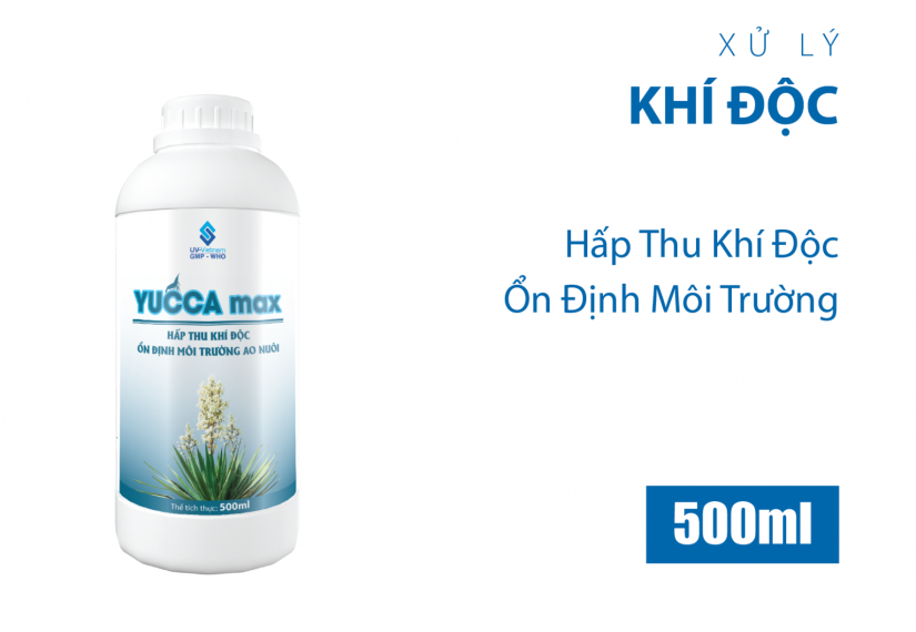 YUCCA MAX
